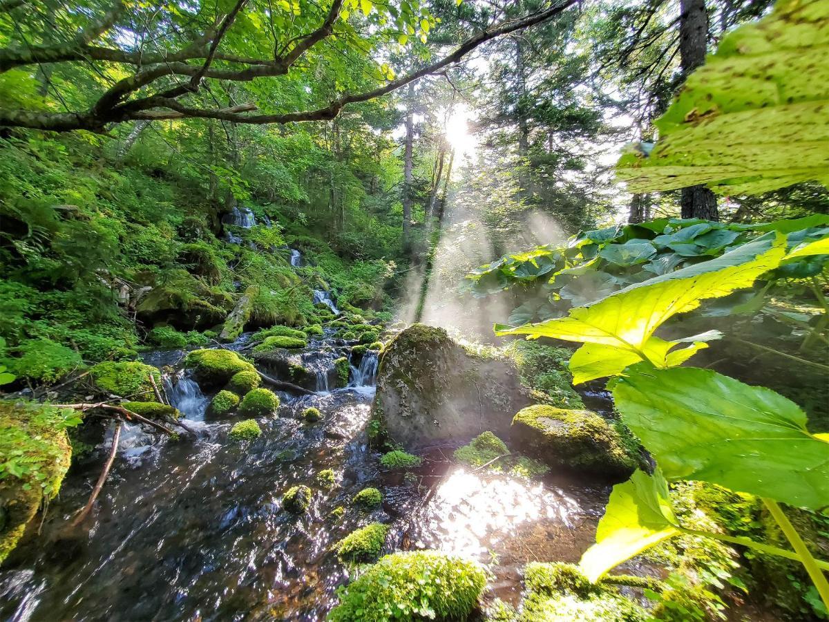 Pension Gooseberry NakaNakafurano Exteriör bild